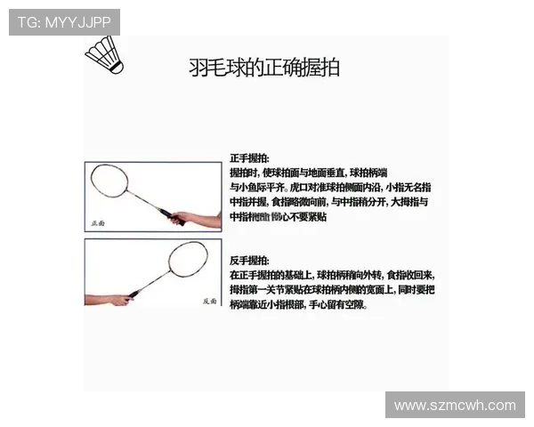 从零基础到高手之路羽毛球技巧与训练全解析