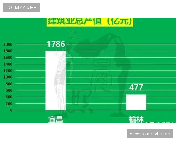 南京网球队积分榜领先以79分稳居第一名展现强劲实力