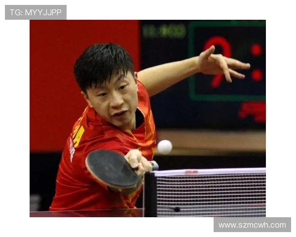 武汉羽毛球队实力对比深度解析与未来发展展望